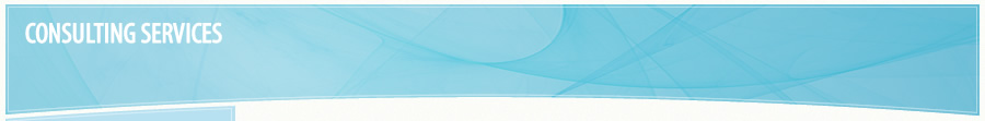 Consulting Services